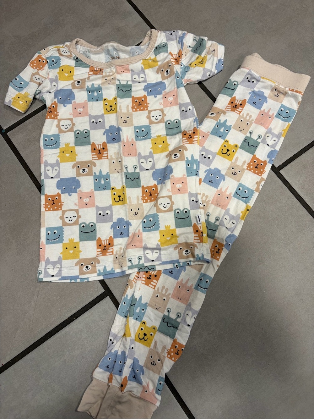 Little Sleepies Multicolor Animal Grid Pajama Set